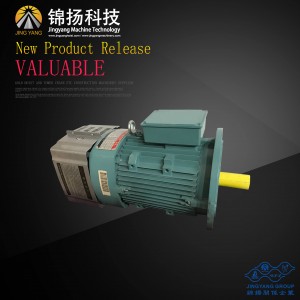 Discountable price Hoist Relay -
 GJJ passenger hoist motor Good performance SC200/SC200 electric construction hoist elevator AC380V rossi motor – Jinyang