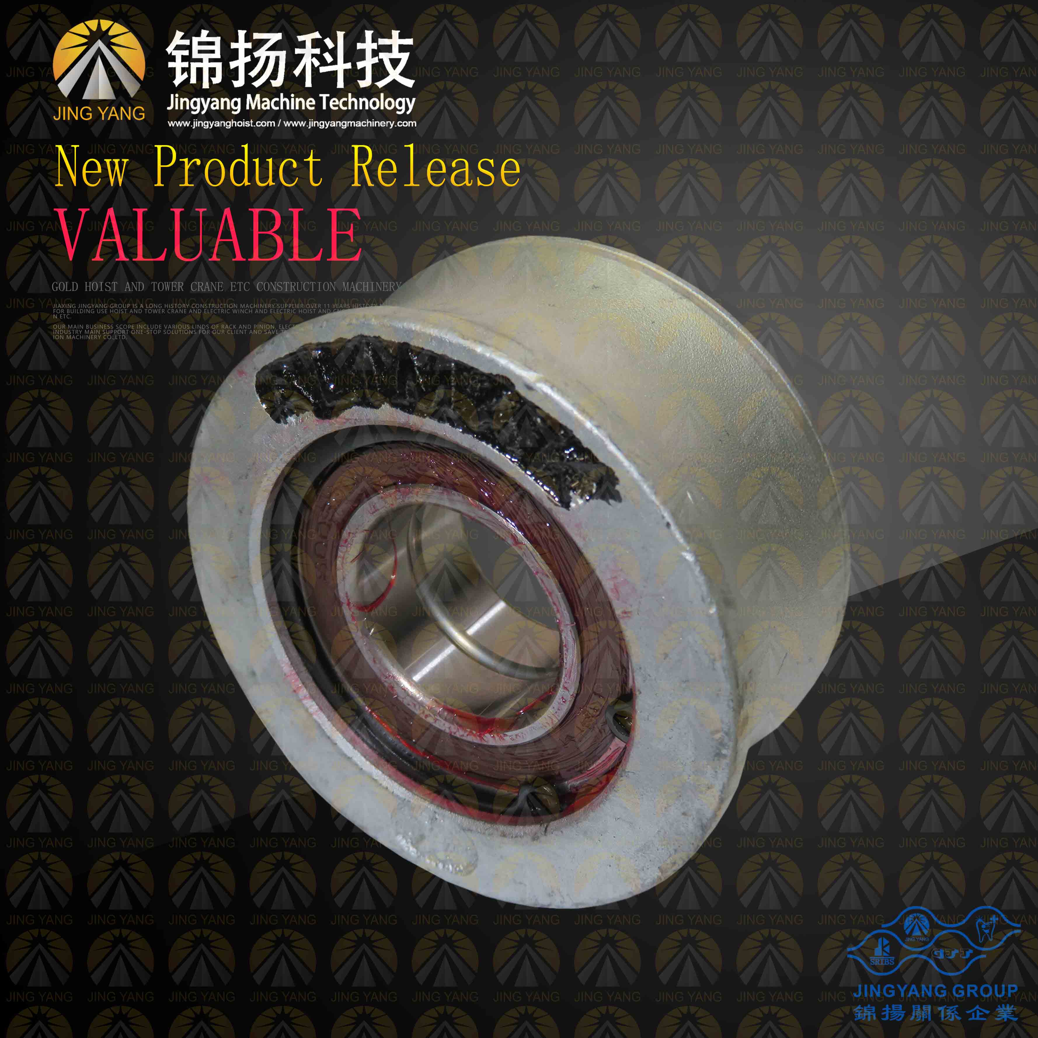 Factory supplied Reducer Worm Wheel -
 Alimak-genuine-guide-roller-9062914000  – Jinyang