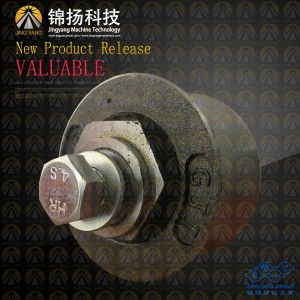 Hot sale Factory 500 Kg Chain Pulley Block -
 BL100-G-ROLLER-GJJ-PASSENGER-HOIST – Jinyang