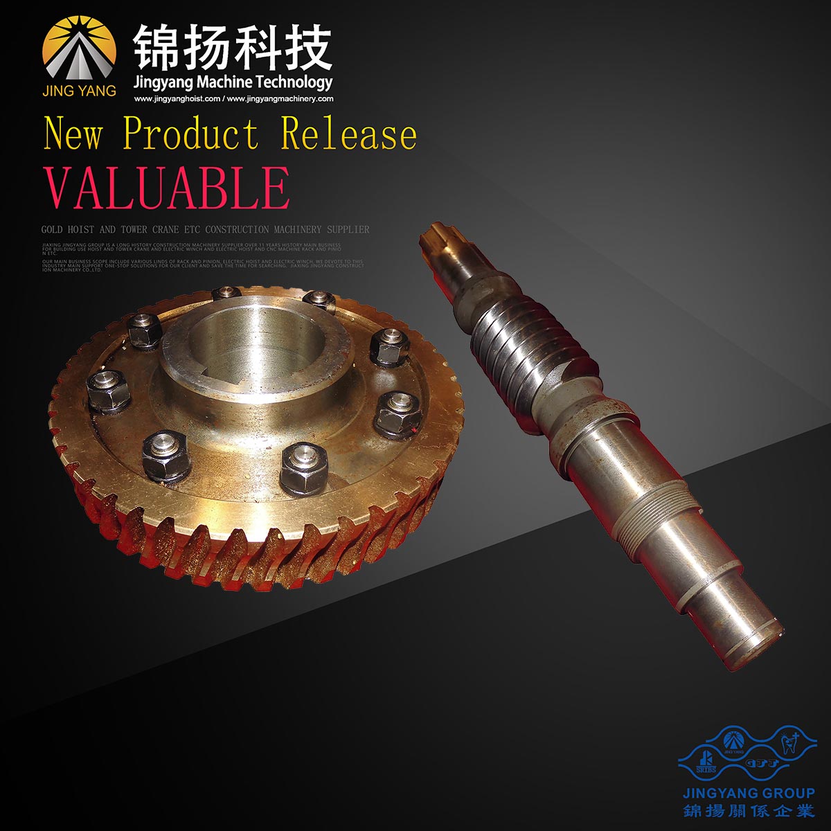 China Supplier Electronics Equipment Parts -
 GJJ passenger hoist whorm wheel and shaft 1:16 ratio speed – Jinyang
