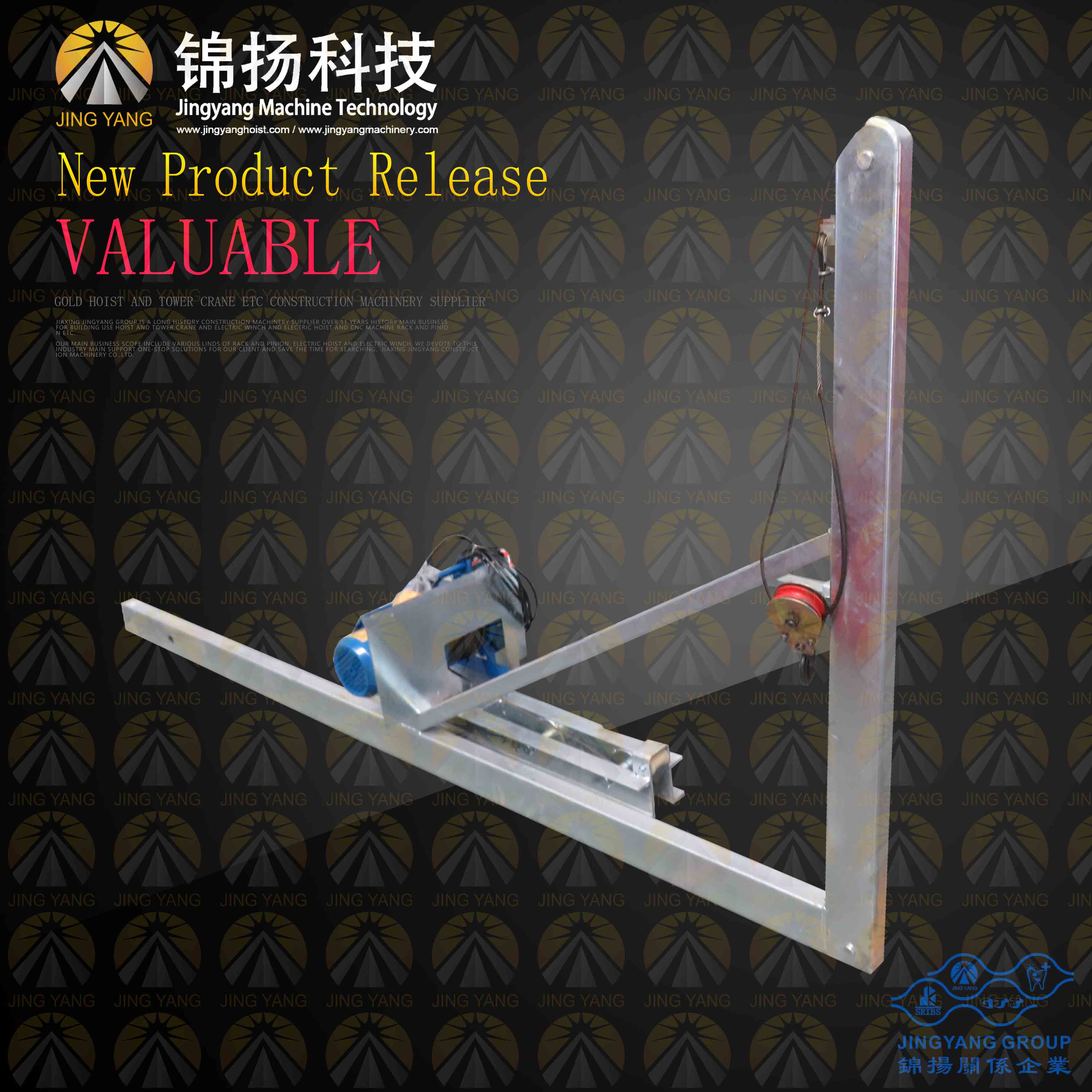OEM Factory for Automatic Hot Melt Machine -
 GJJ-material-hoist-mast-section-electric-automatic-lifting-device – Jinyang