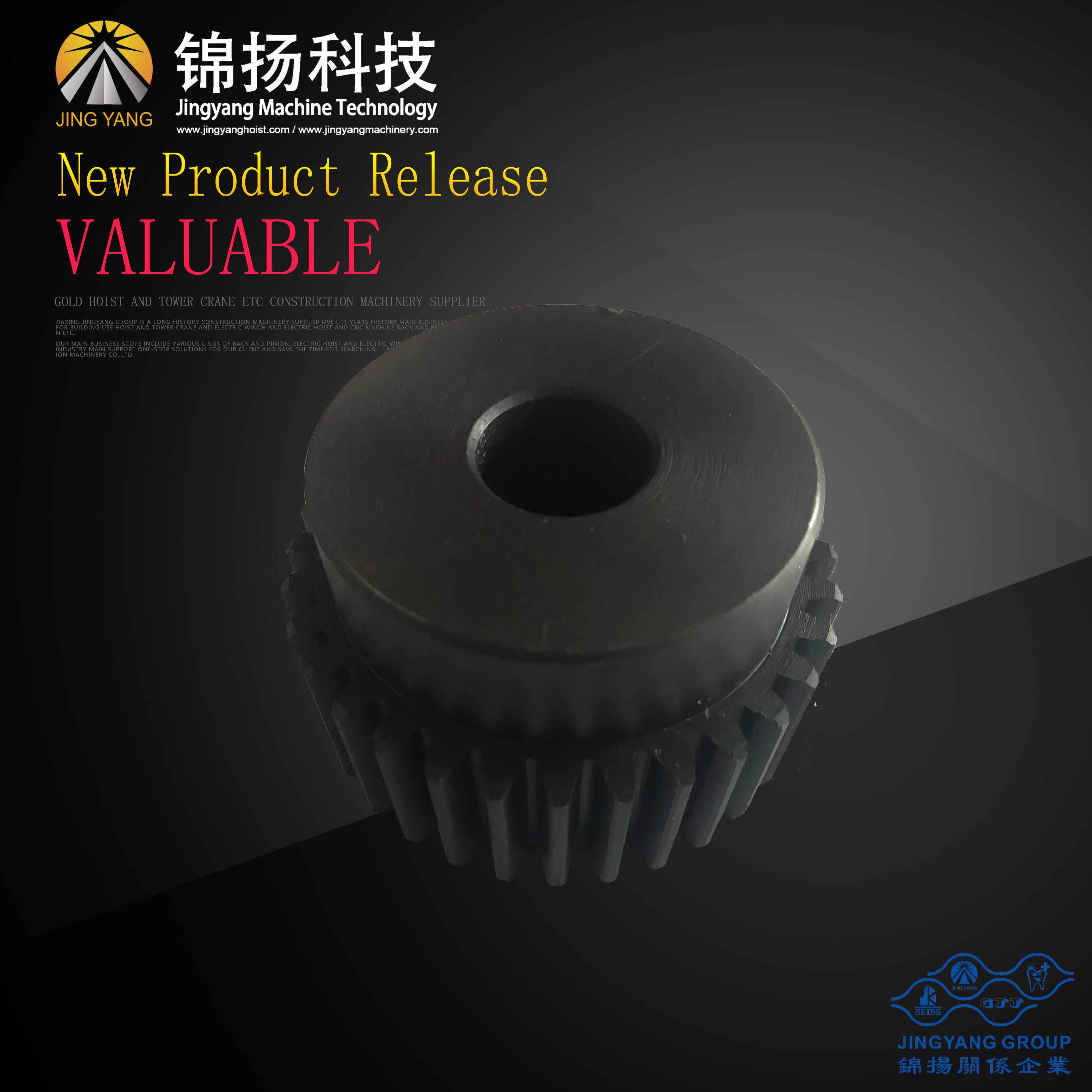 Excellent quality Worm Reducer With Hollow Shaft -
 CNC pinion – Jinyang