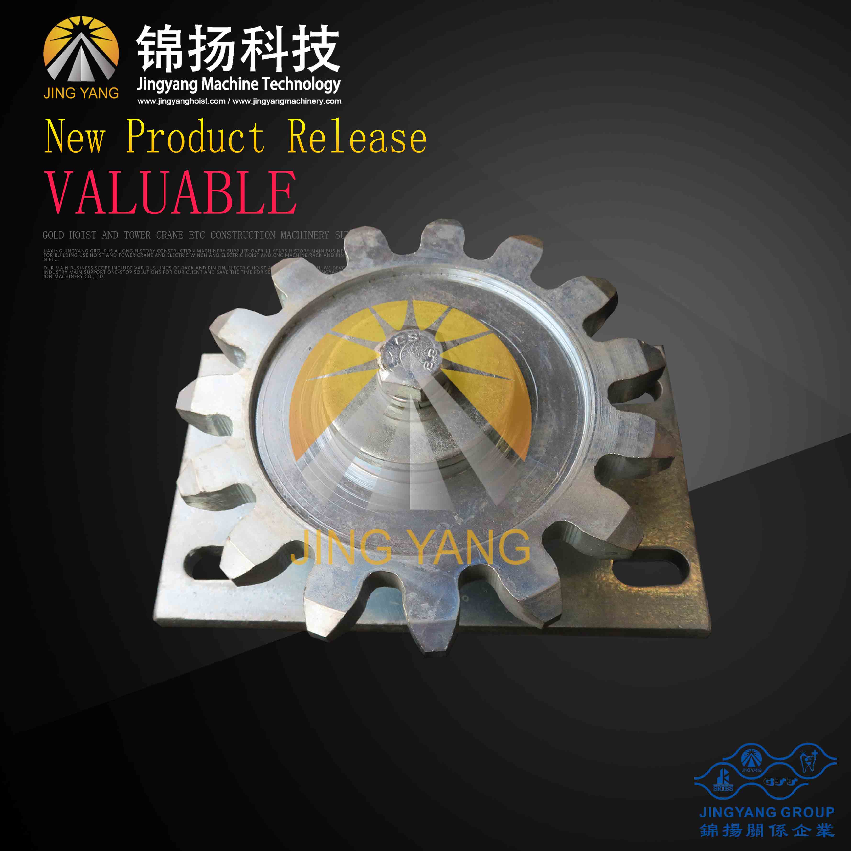 Popular Design for Pulleys For Sliding Gate -
 GJJ-ORIGIONAL-RACK-LIMIT-ROLLER – Jinyang